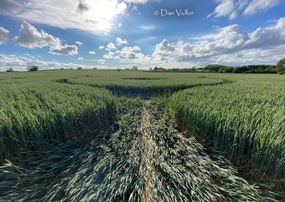 Ditcheat, Somerset | 31st May 2026 |  Wheat | Grd1 DV