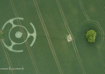 Ditcheat, Somerset | 31st May 2026 |  Wheat | L TK