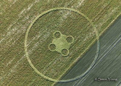 Etchilhampton Hill, Wilts | 25th June 2026 | Wild Flowers | OH | S. Young|
