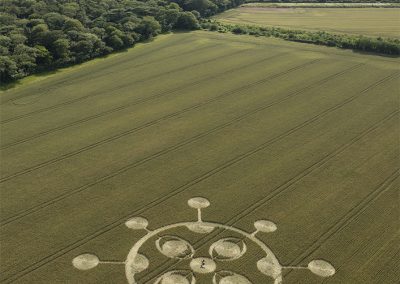 Kingweston, Somerset | 21st June 2026 | Wheat | L