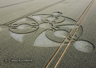 Grovely Wood, Great Wishford, Wilts | 15th June 2026 | Wheat | Low-TK