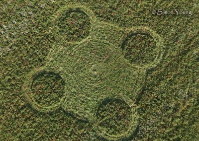 Etchilhampton Hill, Wilts | 25th June 2026 | Wild Flowers | CL | S. You