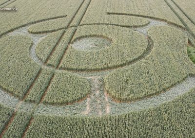 Ditcheat, Somerset | 31st May 2026 |  Wheat | Low1 TK