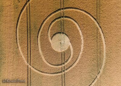 Zürcher Weinland, CH | 23rd June 2026 | Wheat | CL | R. Perret
