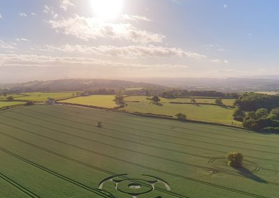 Ditcheat, Somerset | 31st May 2026 |  Wheat | L TK