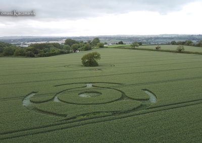 Ditcheat, Somerset | 31st May 2026 |  Wheat | Low2 TK