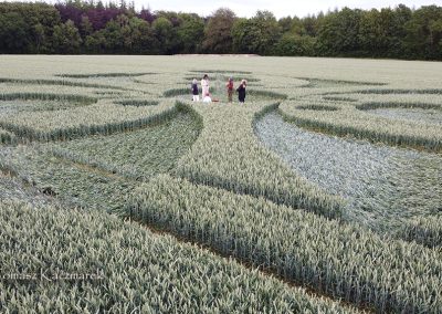 Grovely Wood, Great Wishford, Wilts | 15th June 2026 | Wheat | GR-TK