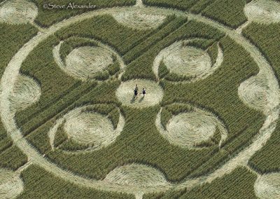 Kingweston, Somerset | 21st June 2026 | Wheat | CL
