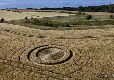 Alfred's Castle, Oxon | 3rd July 2026 | Barley | SY-1