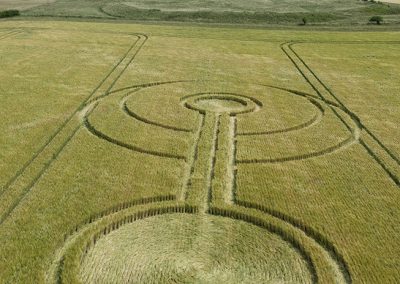Alfred's Castle, Oxon | 3rd July 2026 | Wheat | Low