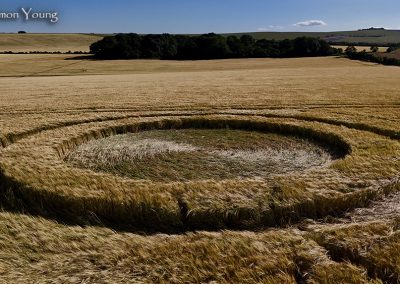 Alfred's Castle, Oxon | 3rd July 2026 | Barley | SY-4
