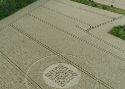 Wayland's Smithy, Oxon | 16th July 2026 | Wheat | L2