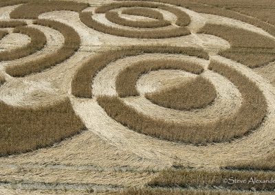 Etchilhampron, Wilts | 4th July 2026 | Wheat | Low-CL