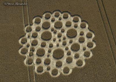 Mere, Wilts. | 5th July 2026 | Wheat | OH