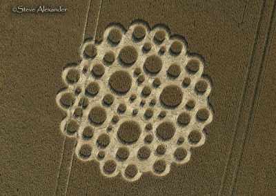 Mere, Wilts. | 5th July 2026 | Wheat | OH2