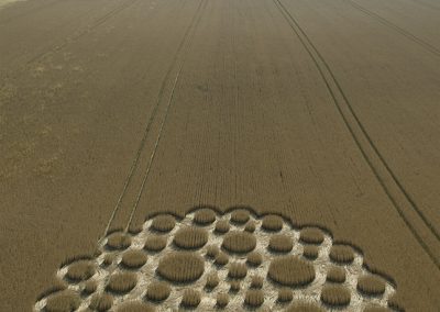 Mere, Wilts. | 5th July 2026 | Wheat | L