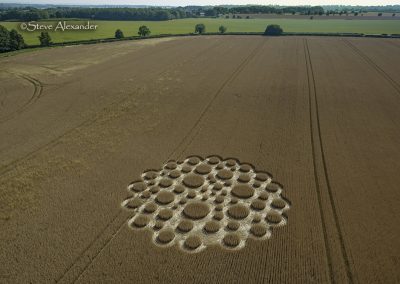 Mere, Wilts. | 5th July 2026 | Wheat | L2