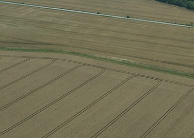 Roundway Hill, Wilts. | 11th July 2026 | Wheat | L