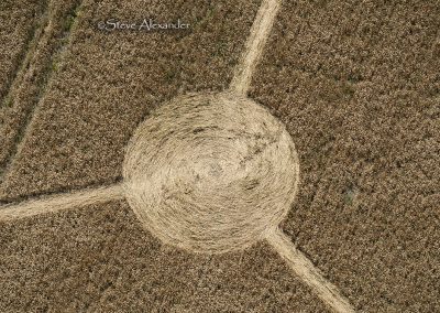Milk Hill, Wilts | 12th July 2026 | Wheat | CL