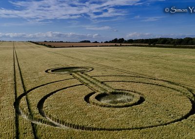 Alfred's Castle, Oxon | 3rd July 2026 | Wheat | SY-3