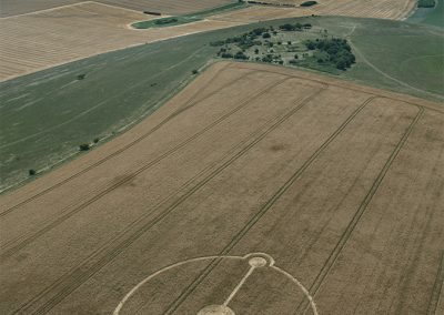 Milk Hill, Wilts | 12th July 2026 | Wheat | L