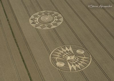 Roundway Hill (2), Wilts | 18th July 2026 | Wheat | OH4