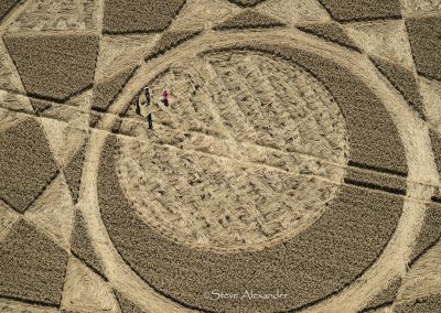 Roundway Hill (2), Wilts | 18th July 2026 | Wheat | OH6