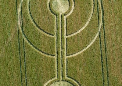 Alfred's Castle, Oxon | 3rd July 2026 | Wheat | OH
