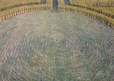 Alfred's Castle, Oxon | 3rd July 2026 | Wheat | TK-1