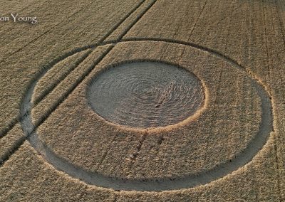 Avebury Henge, Wilts | 14th July 2026 | Wheat | Simon Young