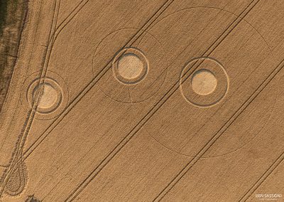 Avebury Henge, Wilts | 14th July 2026 | Wheat | by Ben Sasson