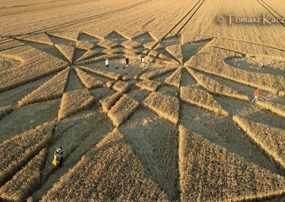 Roundway Hill, Wilts. | 11th July 2026 | Wheat | TK1