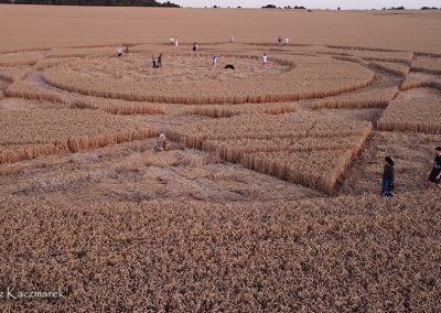 Roundway Hill (2), Wilts | 18th July 2026 | Wheat | TK-1