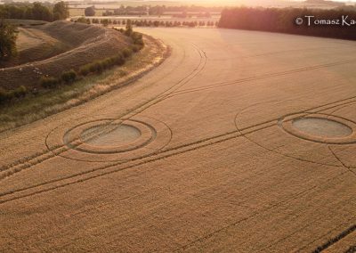 Avebury Henge, Wilts | 14th July 2026 | Wheat | Tomasz Kaczmarek