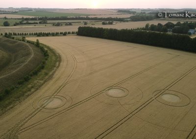 Avebury Henge, Wilts | 14th July 2026 | Wheat | Simon Young