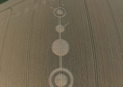 Fox Hill, Wilts | 21st July 2026 | Wheat | OH BB