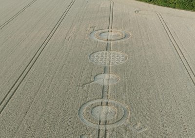 Fox Hill, Wilts | 21st July 2026 | Wheat | L-BB