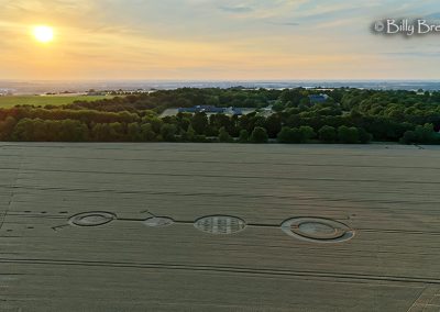 Fox Hill, Wilts | 21st July 2026 | Wheat | L2 BB