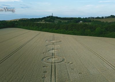 Fox Hill, Wilts | 21st July 2026 | Wheat | LSY